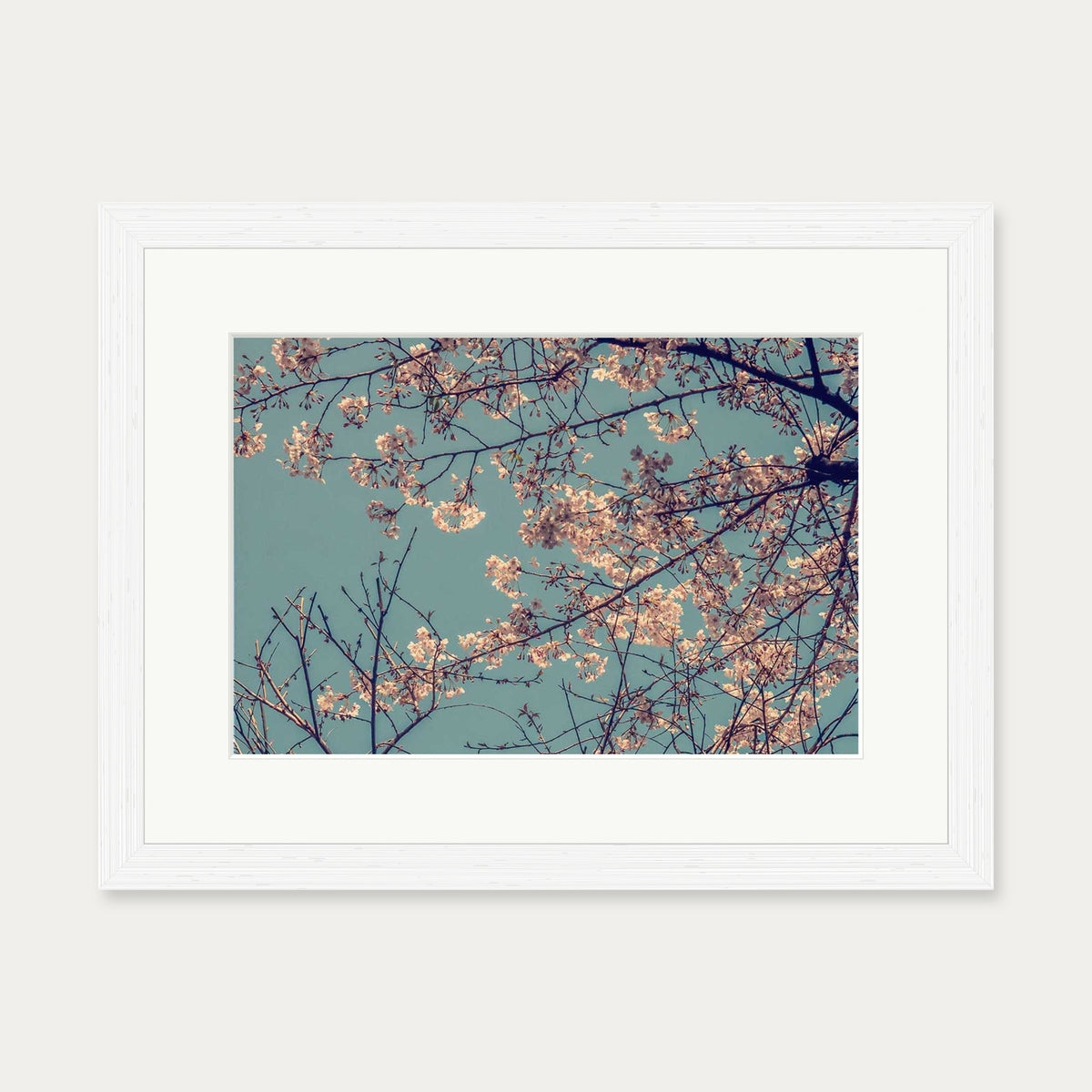 Cherry Blossom Wall Art Print — 30 x 40 cm — White Frame