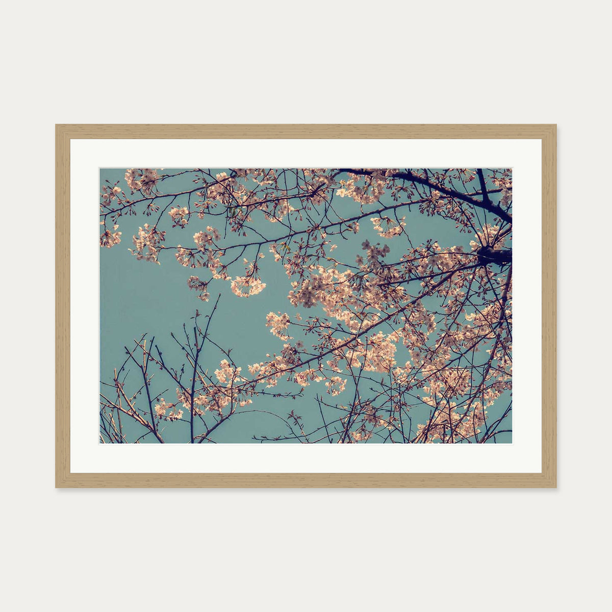Cherry Blossom Wall Art Print — 50 x 70 cm — Oak Frame