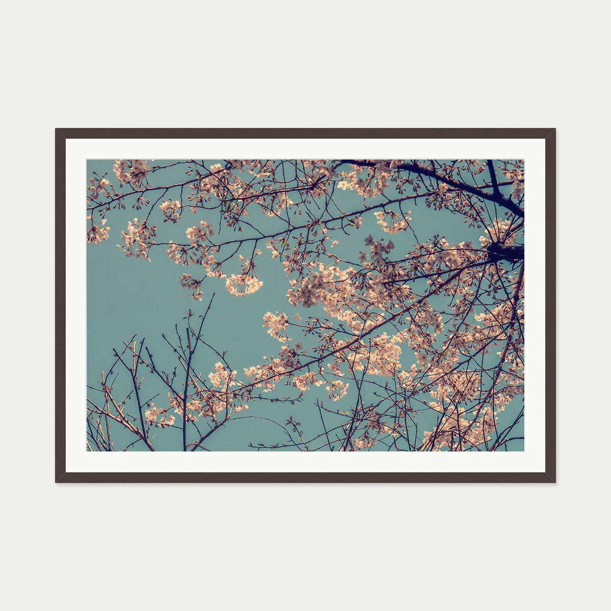 Cherry Blossom Wall Art Print — 70 x 100 cm — Brown Frame