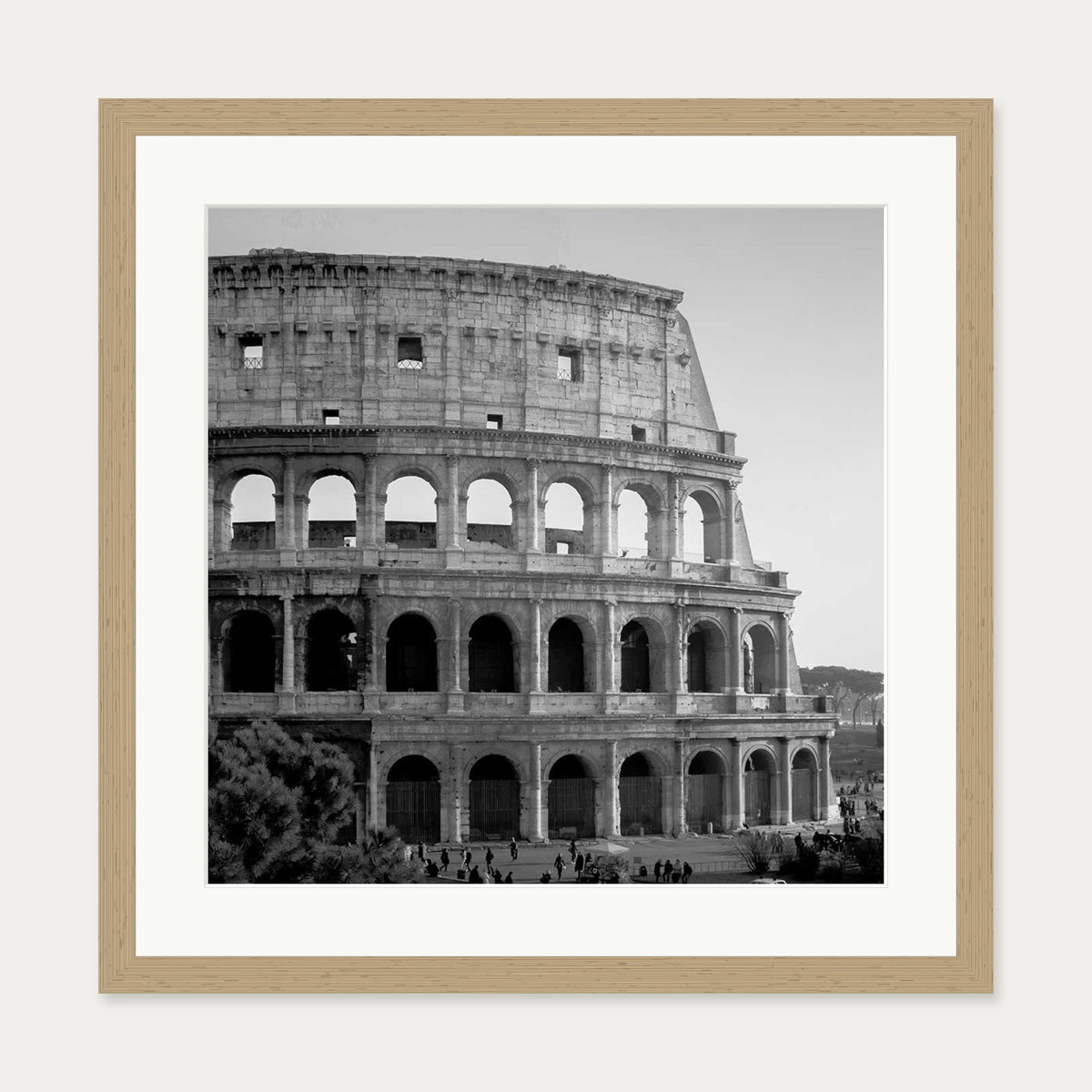 Colosseum Monochrome Framed Art Print — 50 x 50 cm — Oak Frame