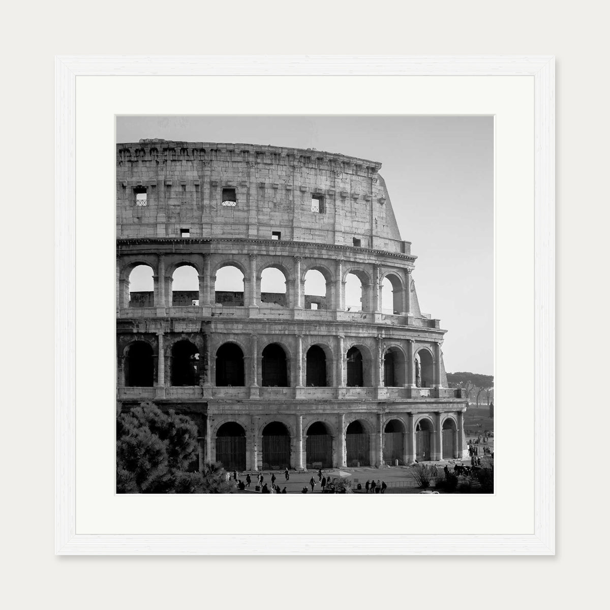 Colosseum Monochrome Framed Art Print — 50 x 50 cm — White Frame