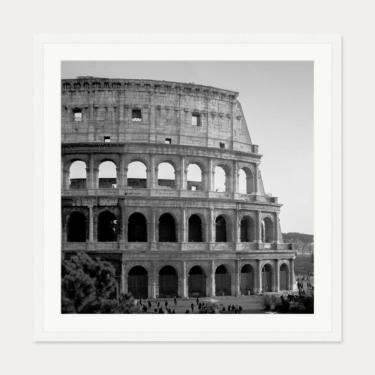 Colosseum Monochrome Framed Art Print — 70 x 70 cm — White Frame