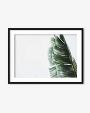 Contemporary Leaves Wall Art Print