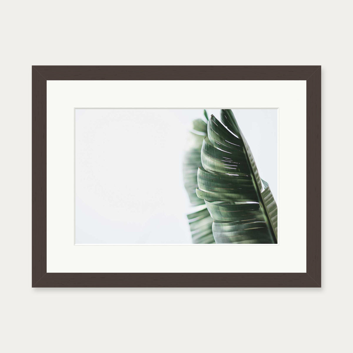 Contemporary Leaves Wall Art Print — 30 x 40 cm — Brown Frame