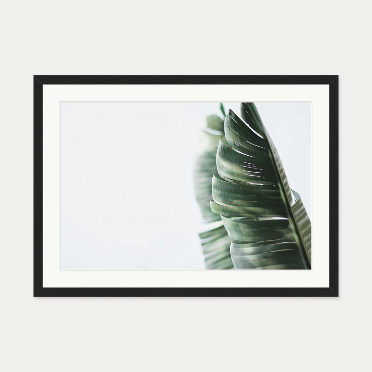 Contemporary Leaves Wall Art Print — 50 x 70 cm — Black Frame