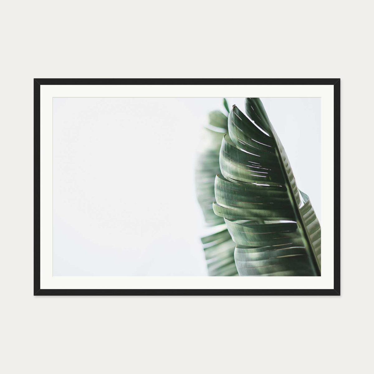 Contemporary Leaves Wall Art Print — 70 x 100 cm — Black Frame