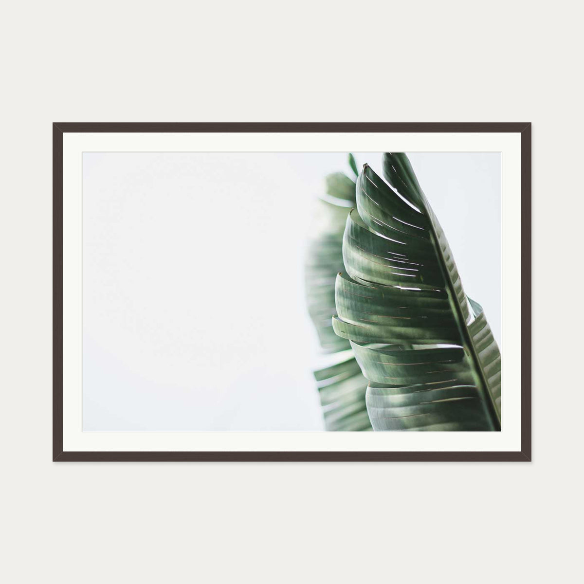 Contemporary Leaves Wall Art Print — 70 x 100 cm — Brown Frame