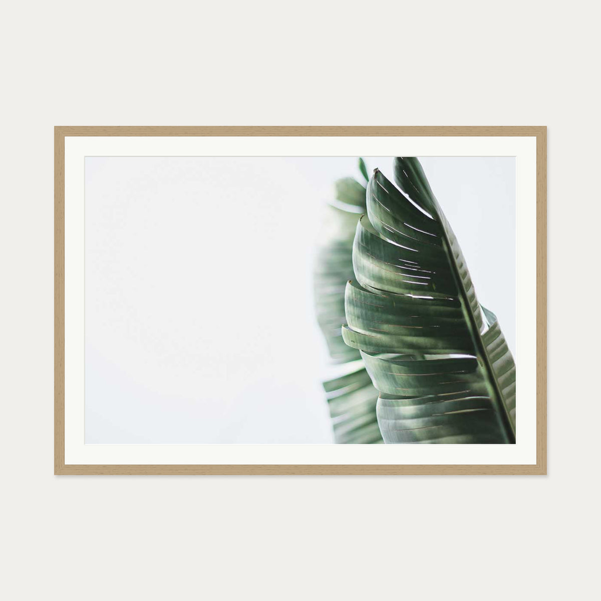 Contemporary Leaves Wall Art Print — 70 x 100 cm — Oak Frame