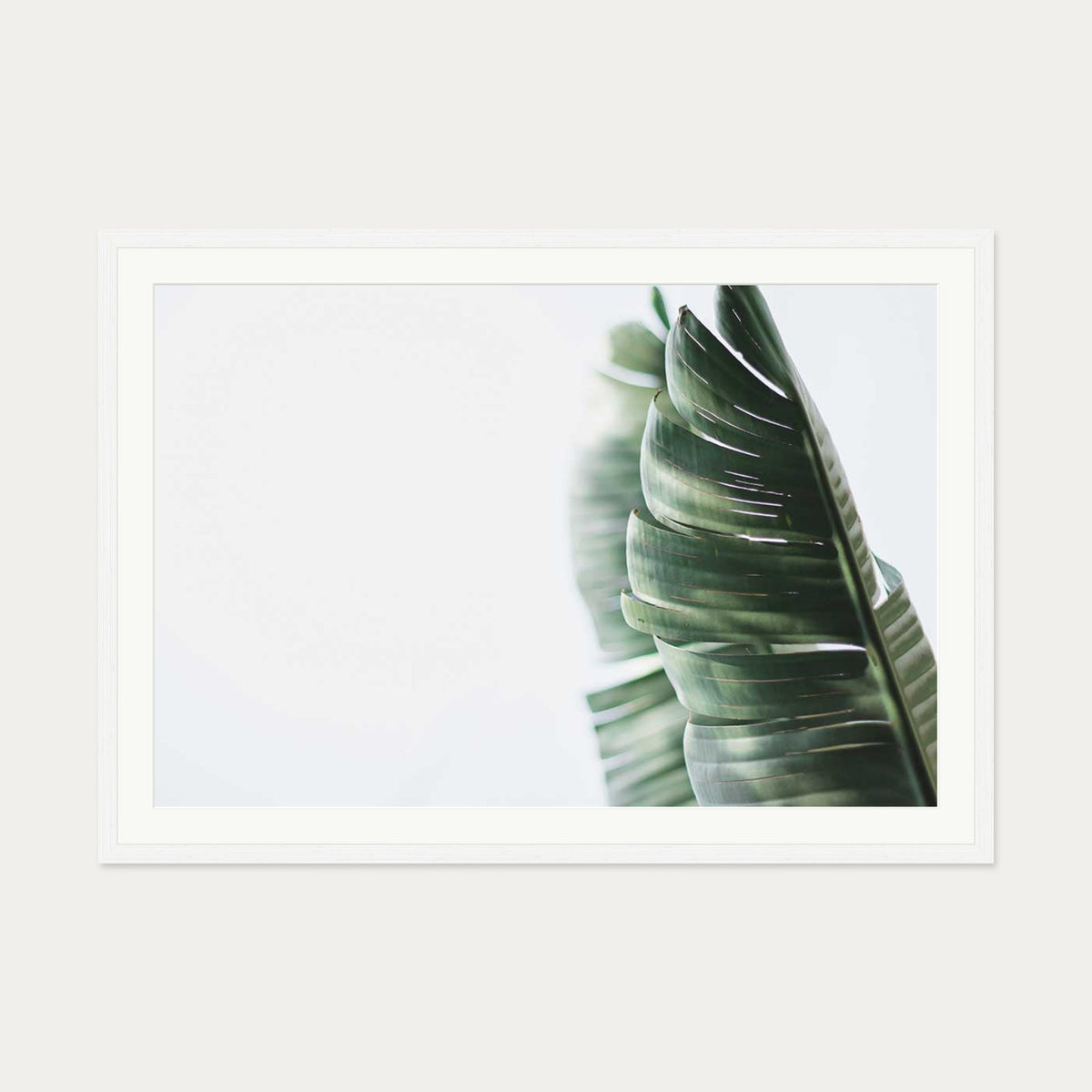 Contemporary Leaves Wall Art Print — 70 x 100 cm — White Frame