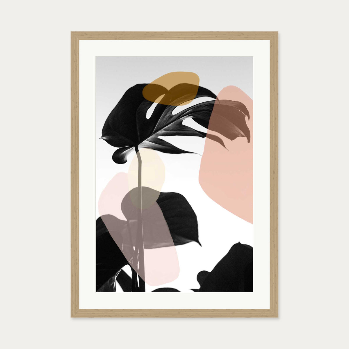 Contemporary Monstera Leaf Art Print — 50 x 70 cm — Oak Frame