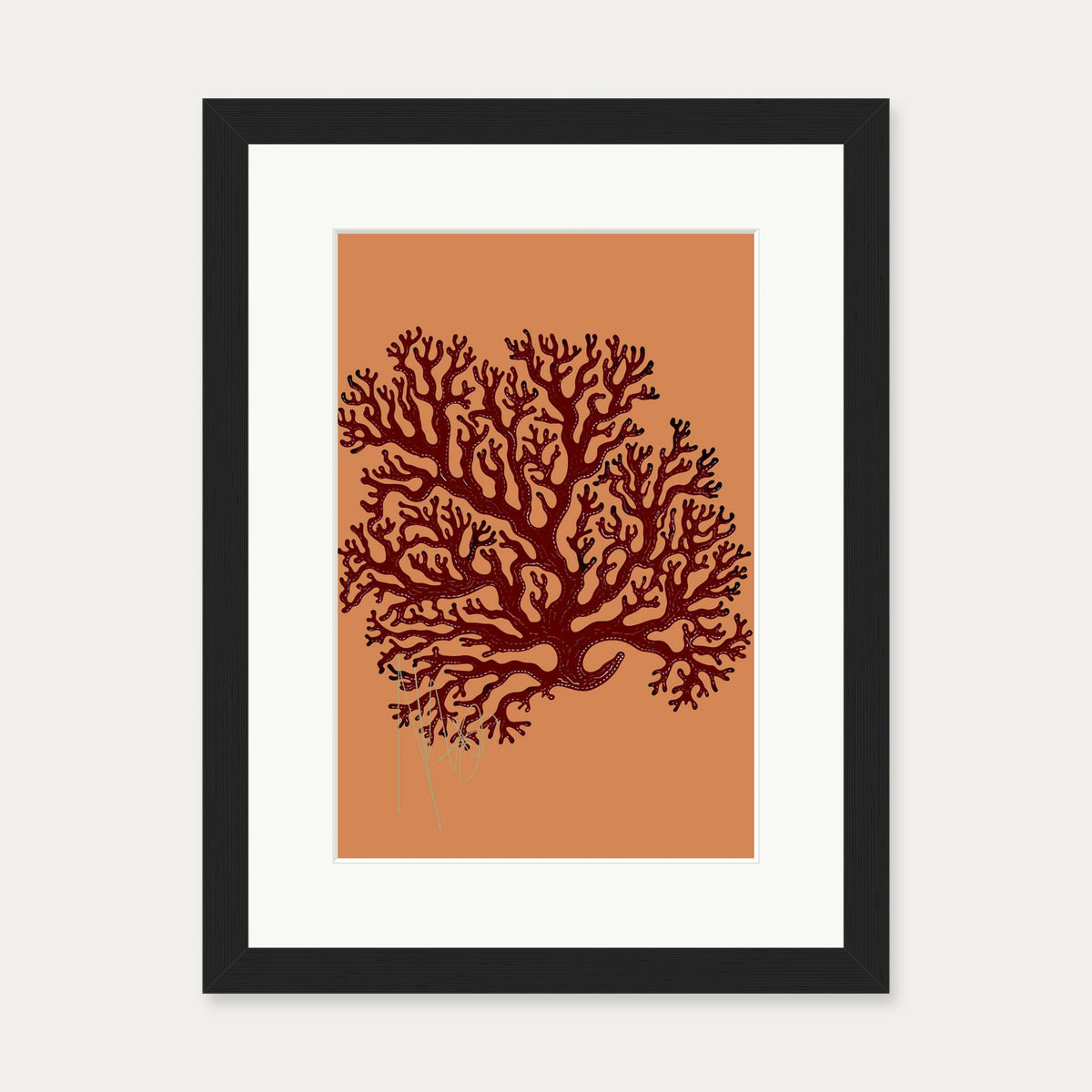 Coral Illusions Art Print — 30 x 40 cm — Black Frame