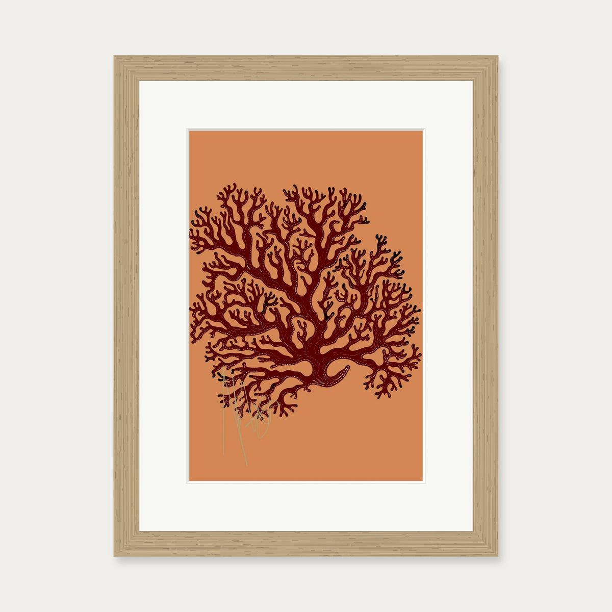 Coral Illusions Art Print — 30 x 40 cm — Oak Frame