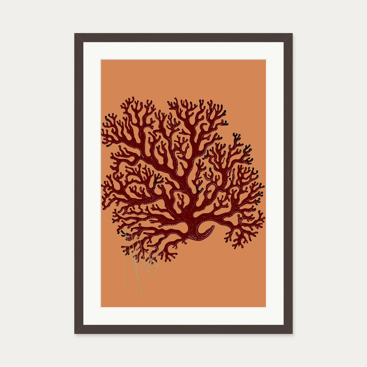 Coral Illusions Art Print — 50 x 70 cm — Brown Frame