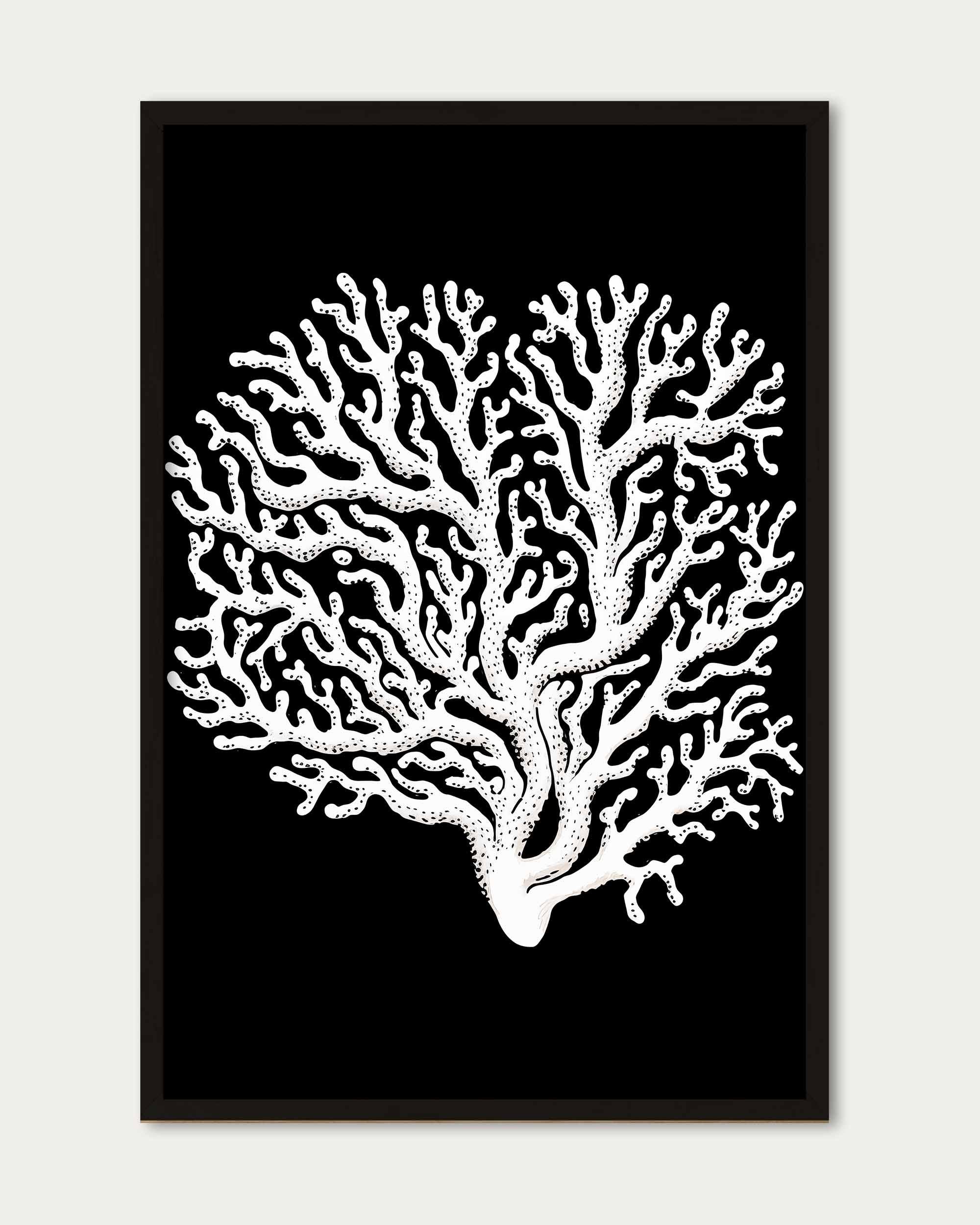 Monochrome Coral II Art Print