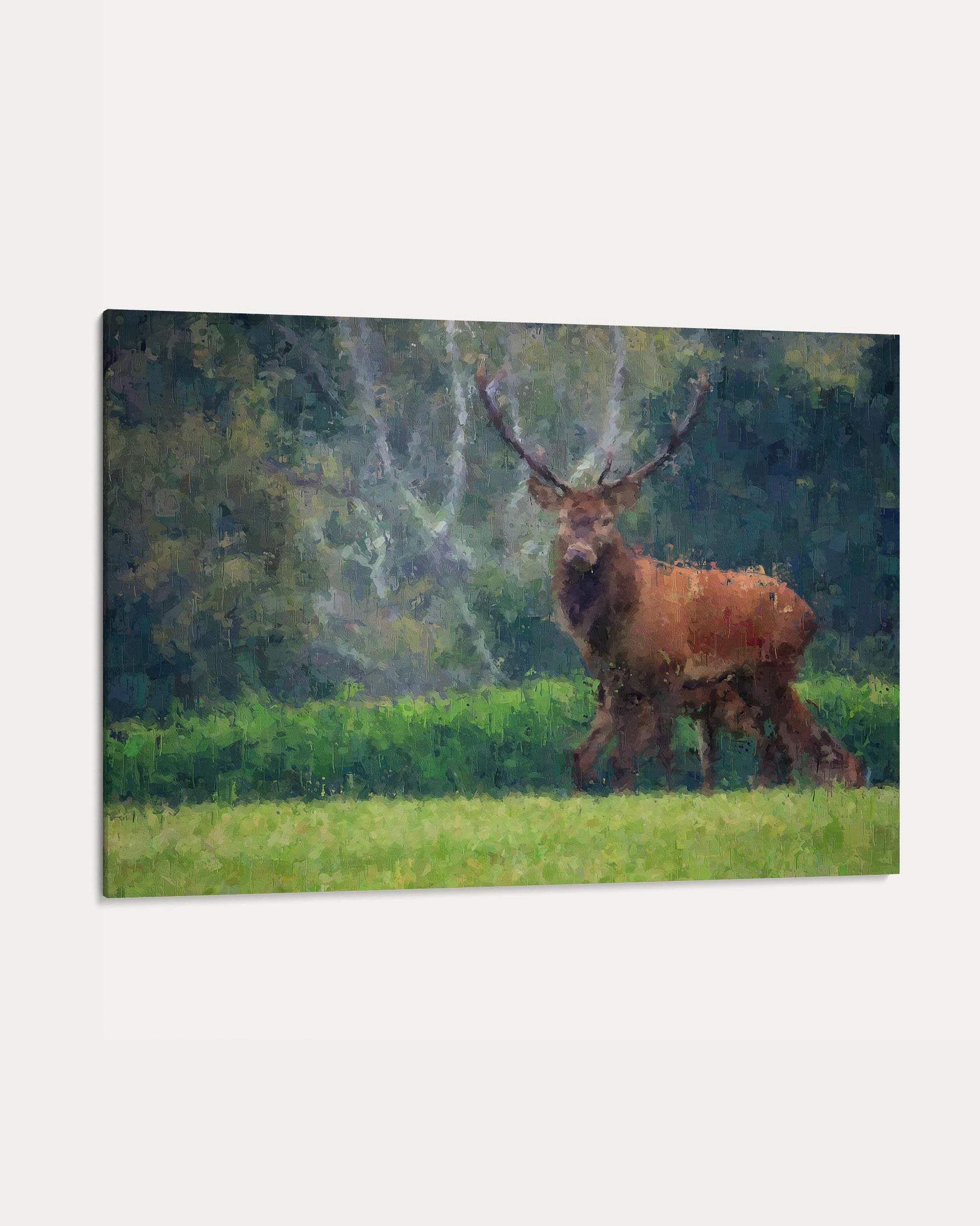 Deer in a forest setting on a canvas print