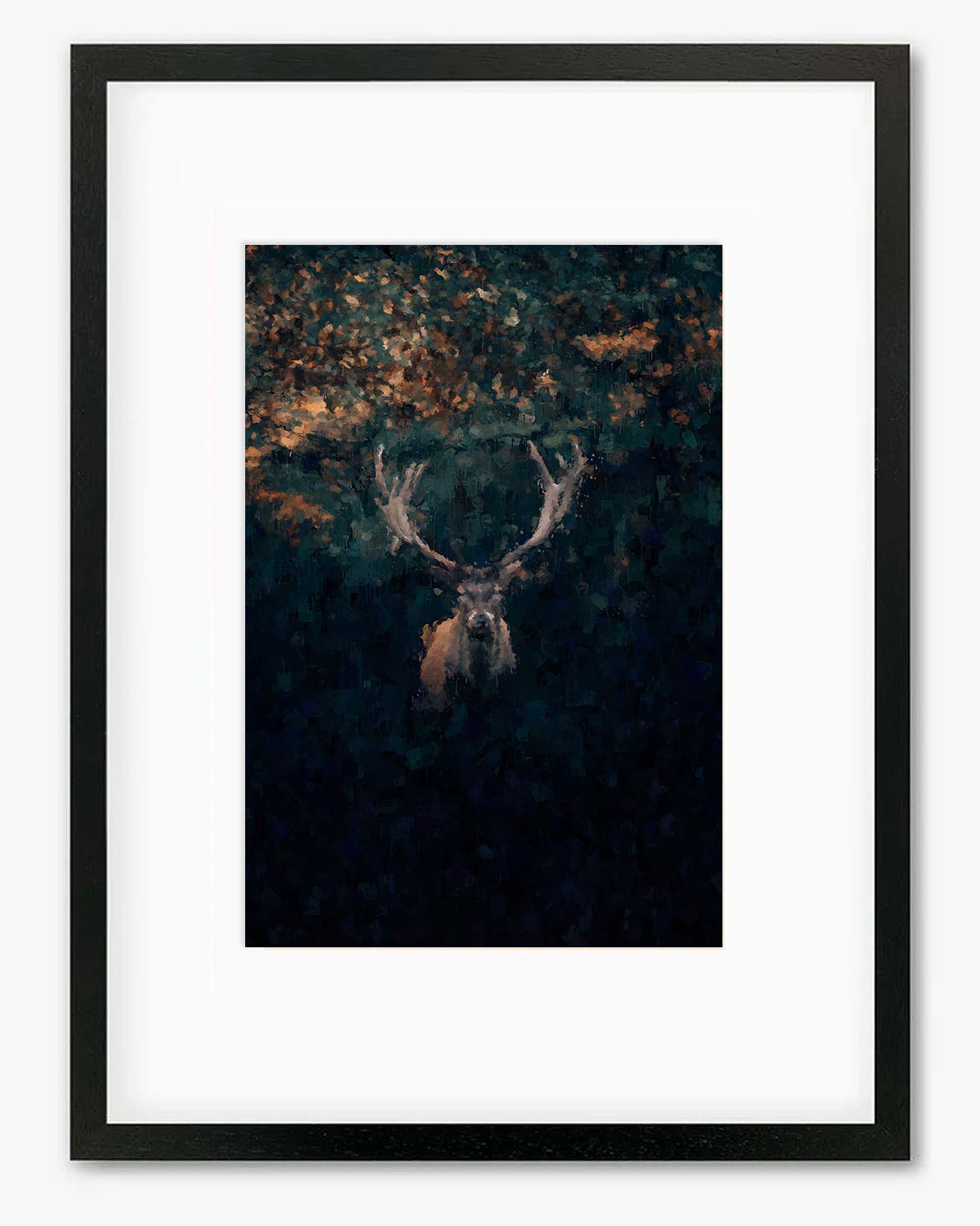 Red Deer Stag In Winter Framed Print
