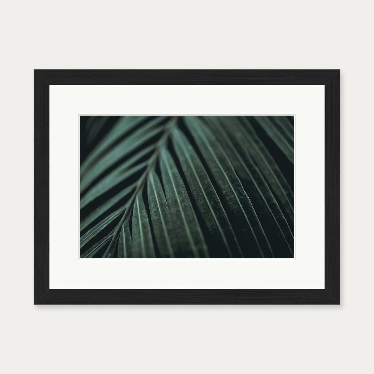Delicate Leaf Wall Art Print — 30 x 40 cm — Black Frame