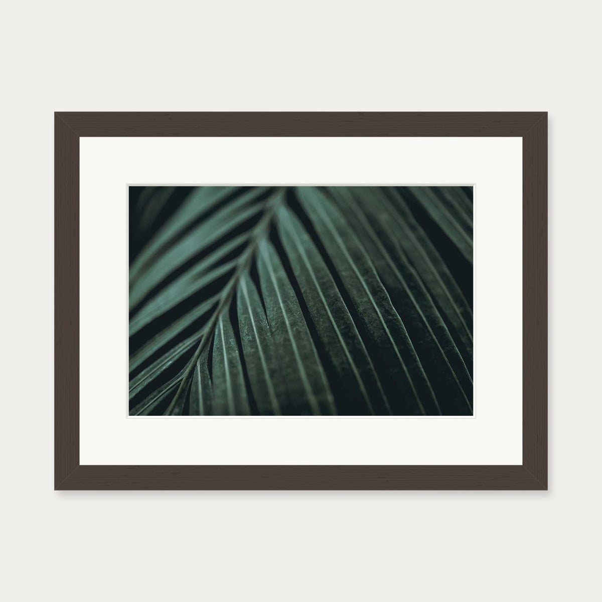 Delicate Leaf Wall Art Print — 30 x 40 cm — Brown Frame