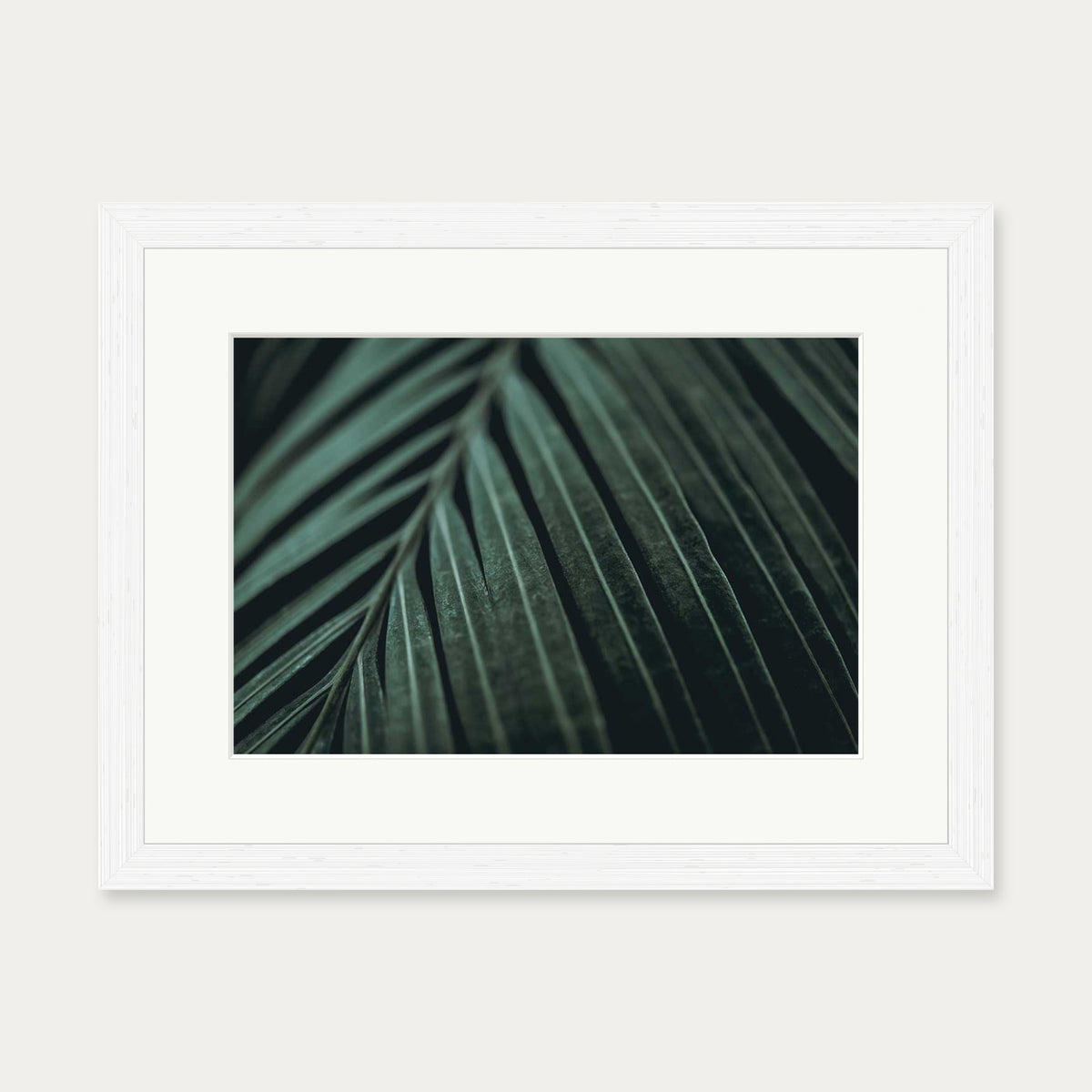 Delicate Leaf Wall Art Print — 30 x 40 cm — White Frame