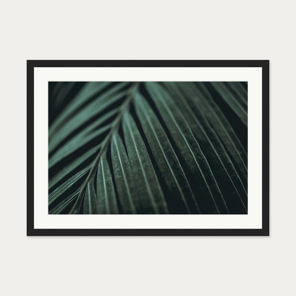 Delicate Leaf Wall Art Print — 50 x 70 cm — Black Frame