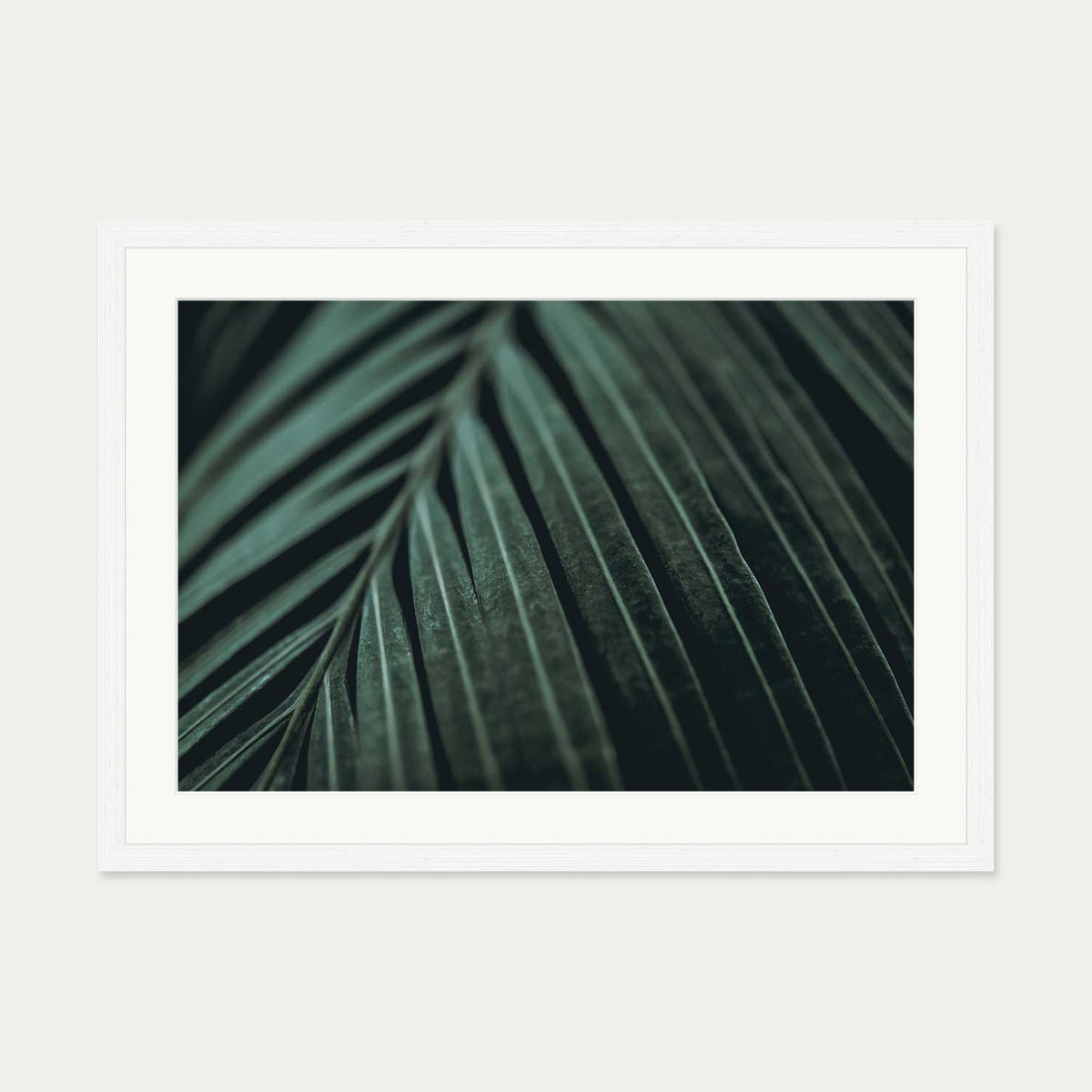 Delicate Leaf Wall Art Print — 50 x 70 cm — White Frame