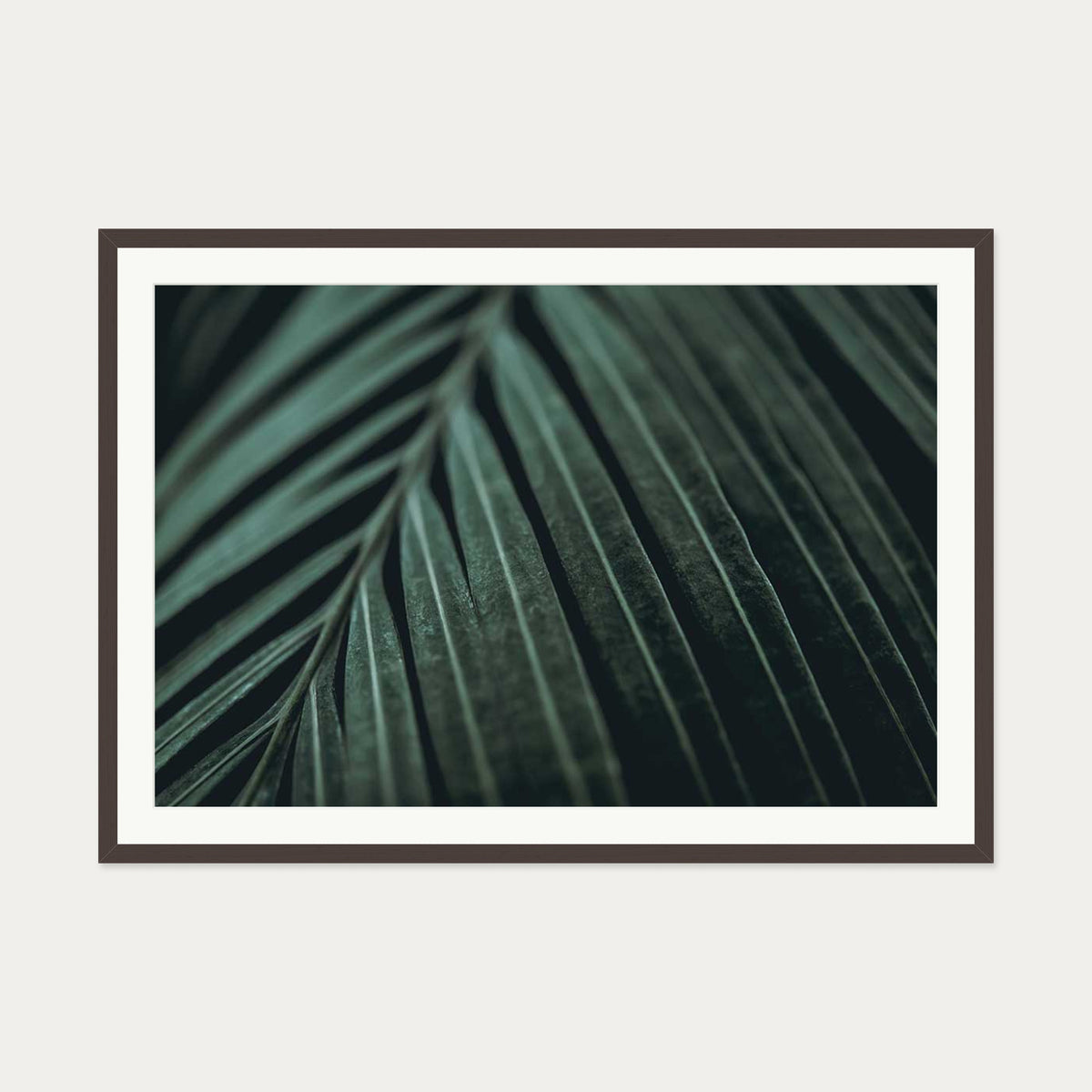 Delicate Leaf Wall Art Print — 70 x 100 cm — Brown Frame