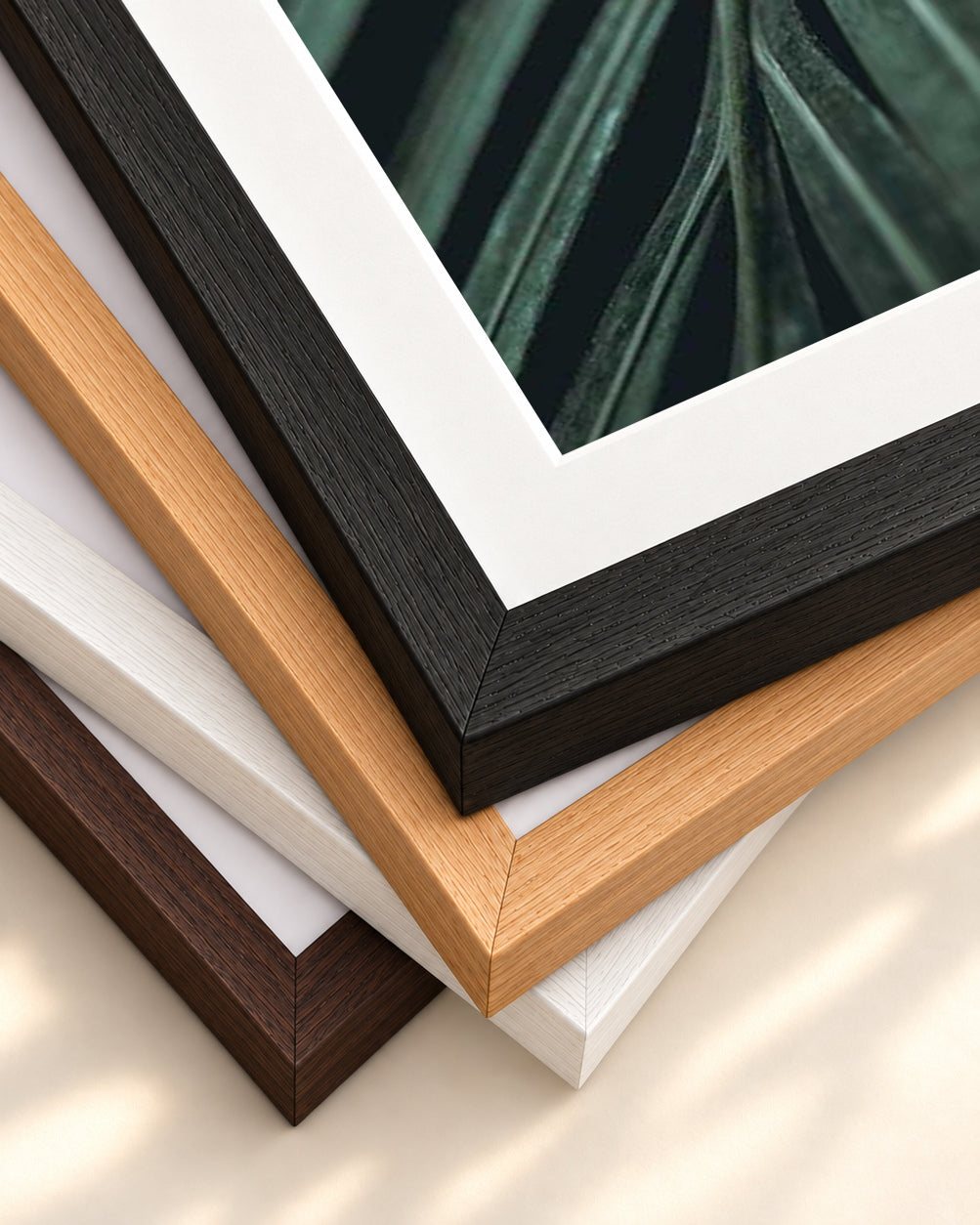 Delicate Leaf Wall Art Print — framed print corner with 5 cm mount and bevel