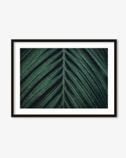 Tropical Leaf Wall Art Print