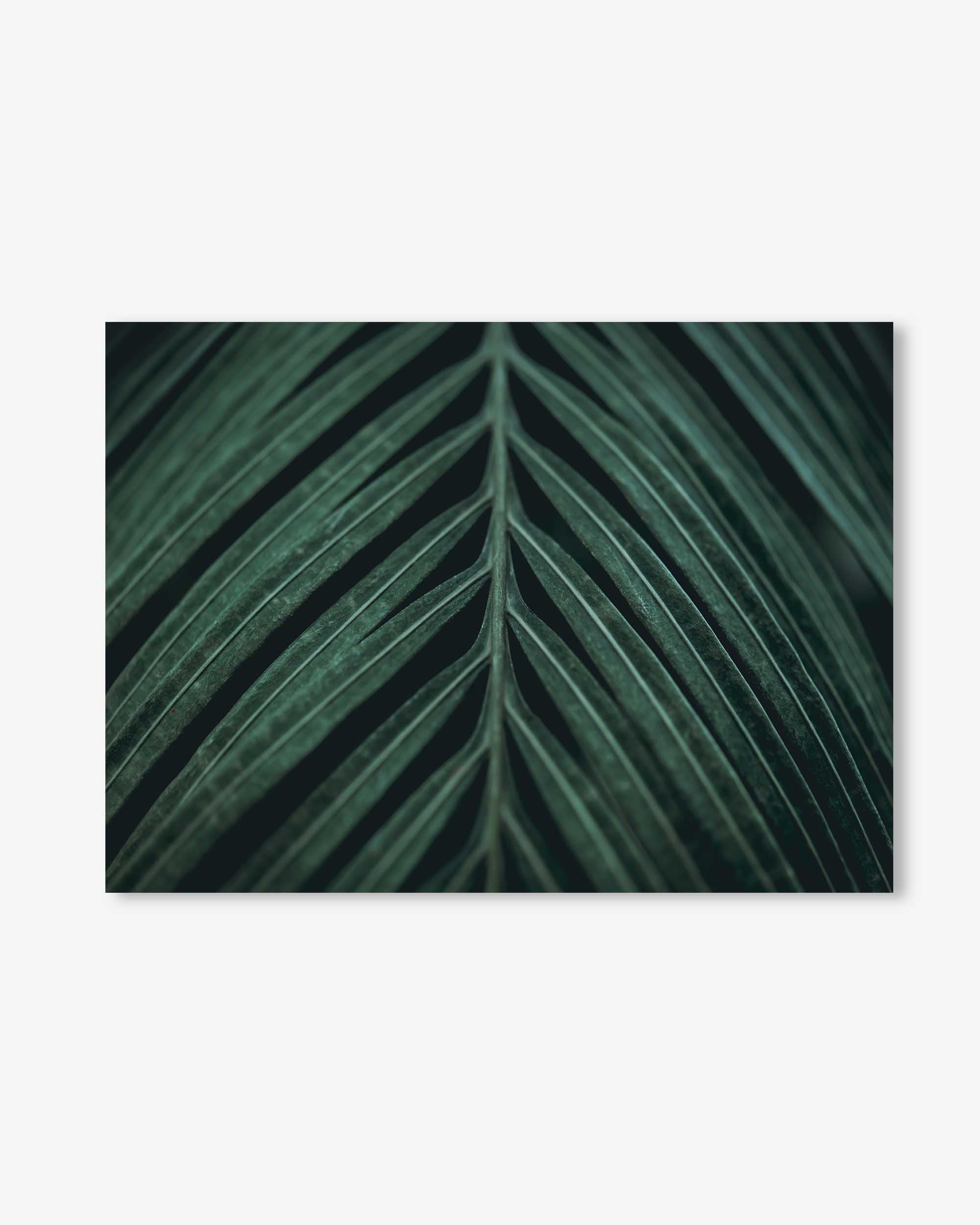 Tropical Leaf Wall Art Print