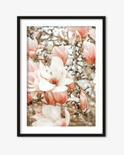 Field Of Flowers Art Print