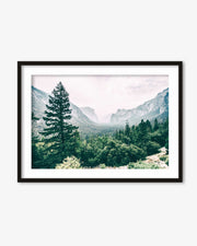 Distant Forest Art Print
