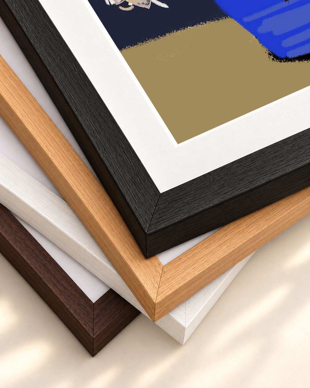 Four Blooms Study Art Print — framed print corner with 5 cm mount and bevel