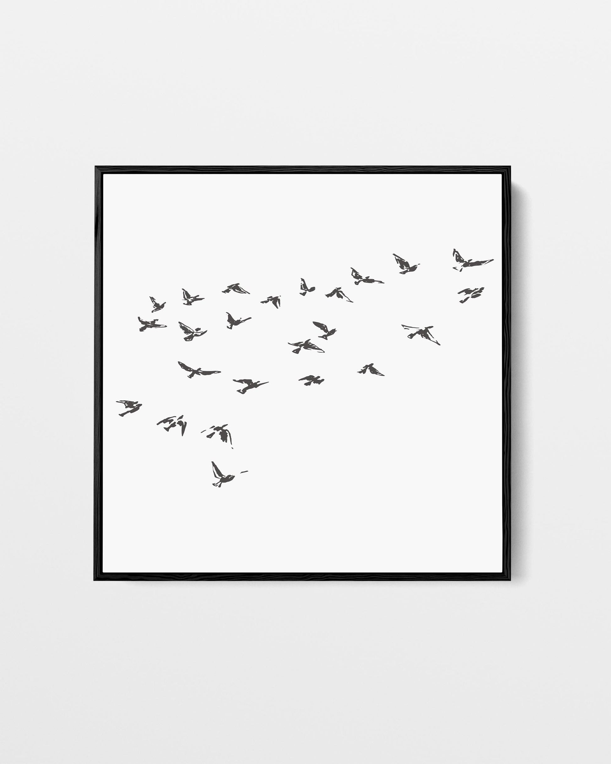 Framed artwork of birds flying on a white background