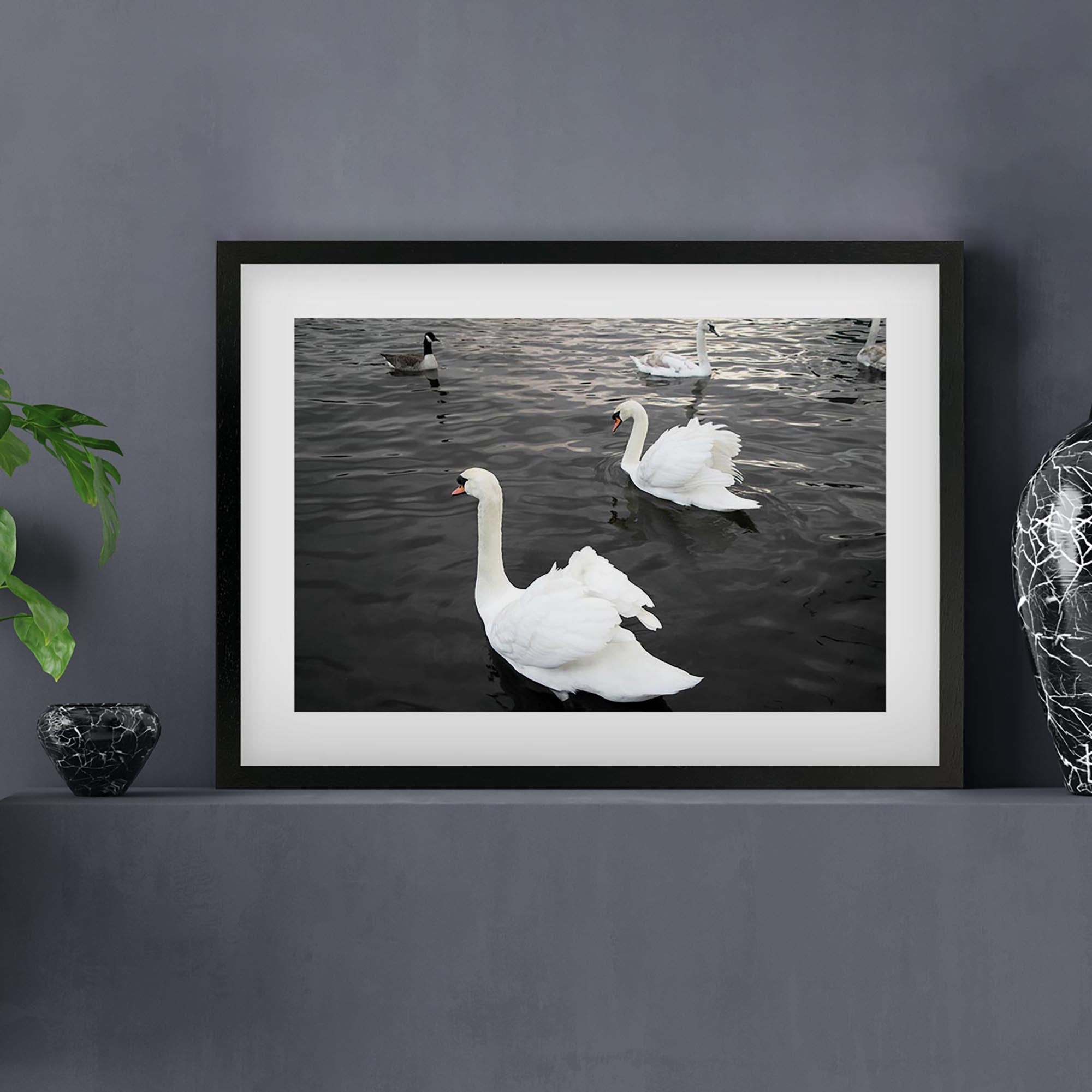 The Swan Lake Framed Art