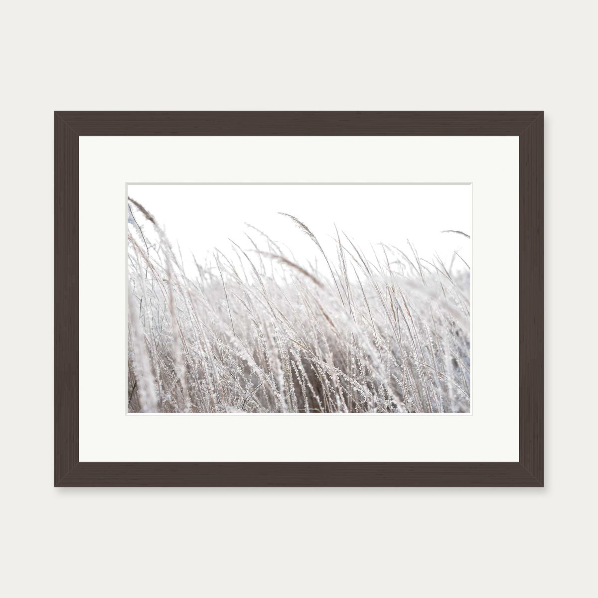 Frozen Grass Wall Art Print — 30 x 40 cm — Brown Frame