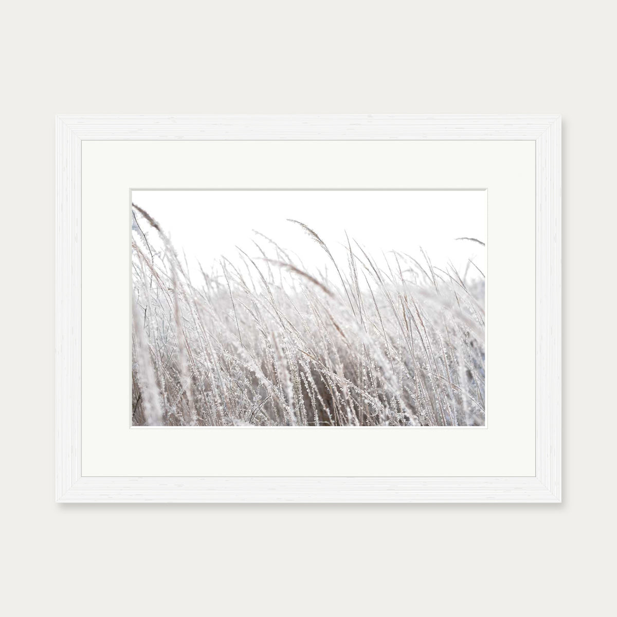 Frozen Grass Wall Art Print — 30 x 40 cm — White Frame