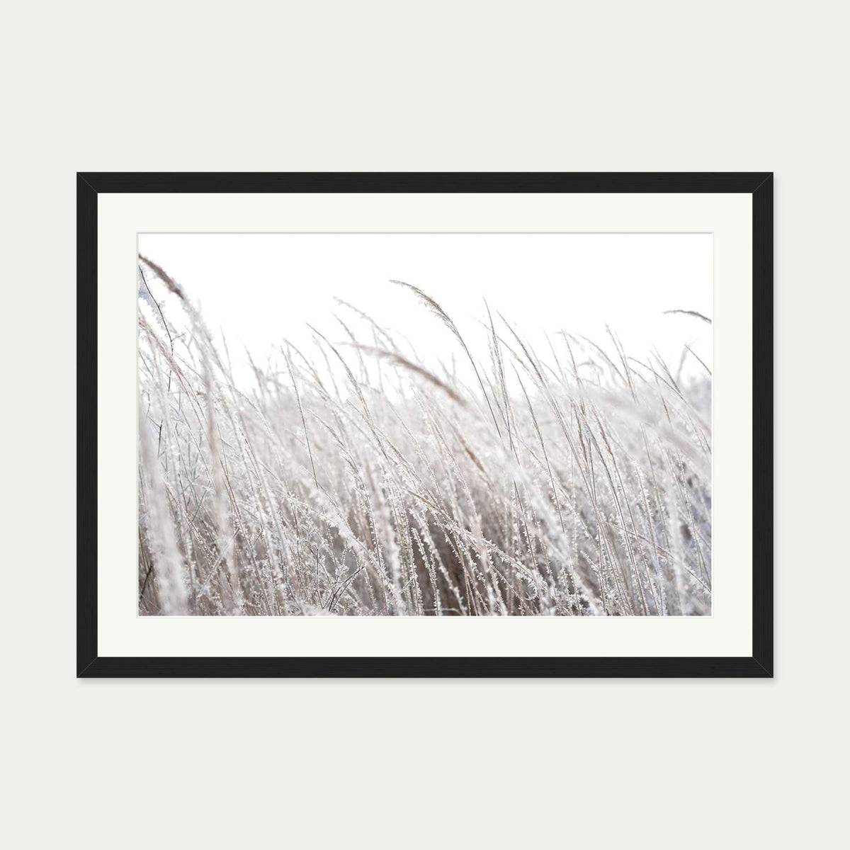 Frozen Grass Wall Art Print — 50 x 70 cm — Black Frame