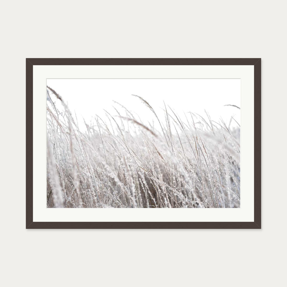 Frozen Grass Wall Art Print — 50 x 70 cm — Brown Frame