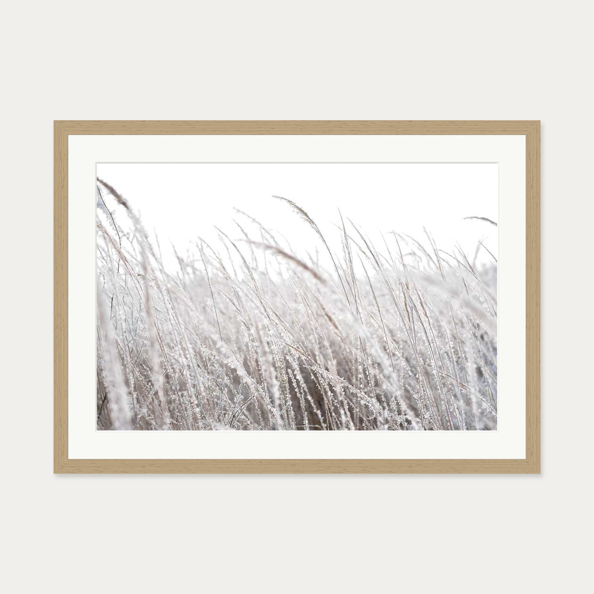 Frozen Grass Wall Art Print — 50 x 70 cm — Oak Frame