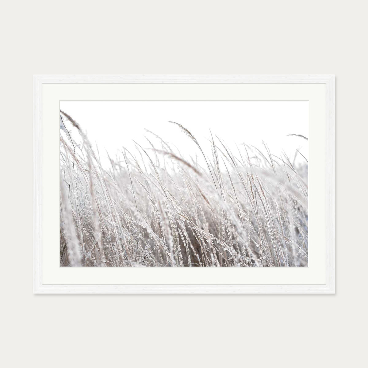 Frozen Grass Wall Art Print — 50 x 70 cm — White Frame