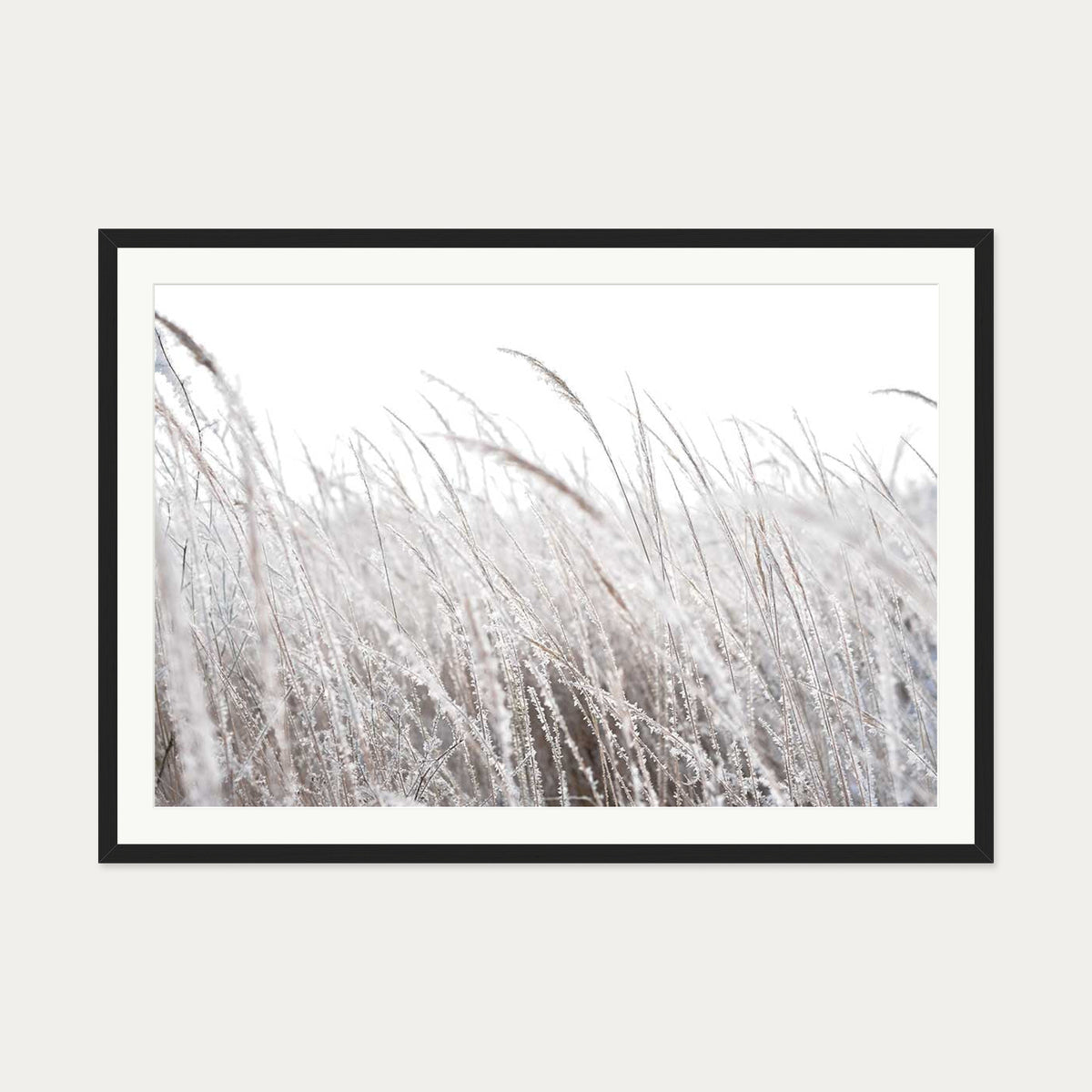 Frozen Grass Wall Art Print — 70 x 100 cm — Black Frame