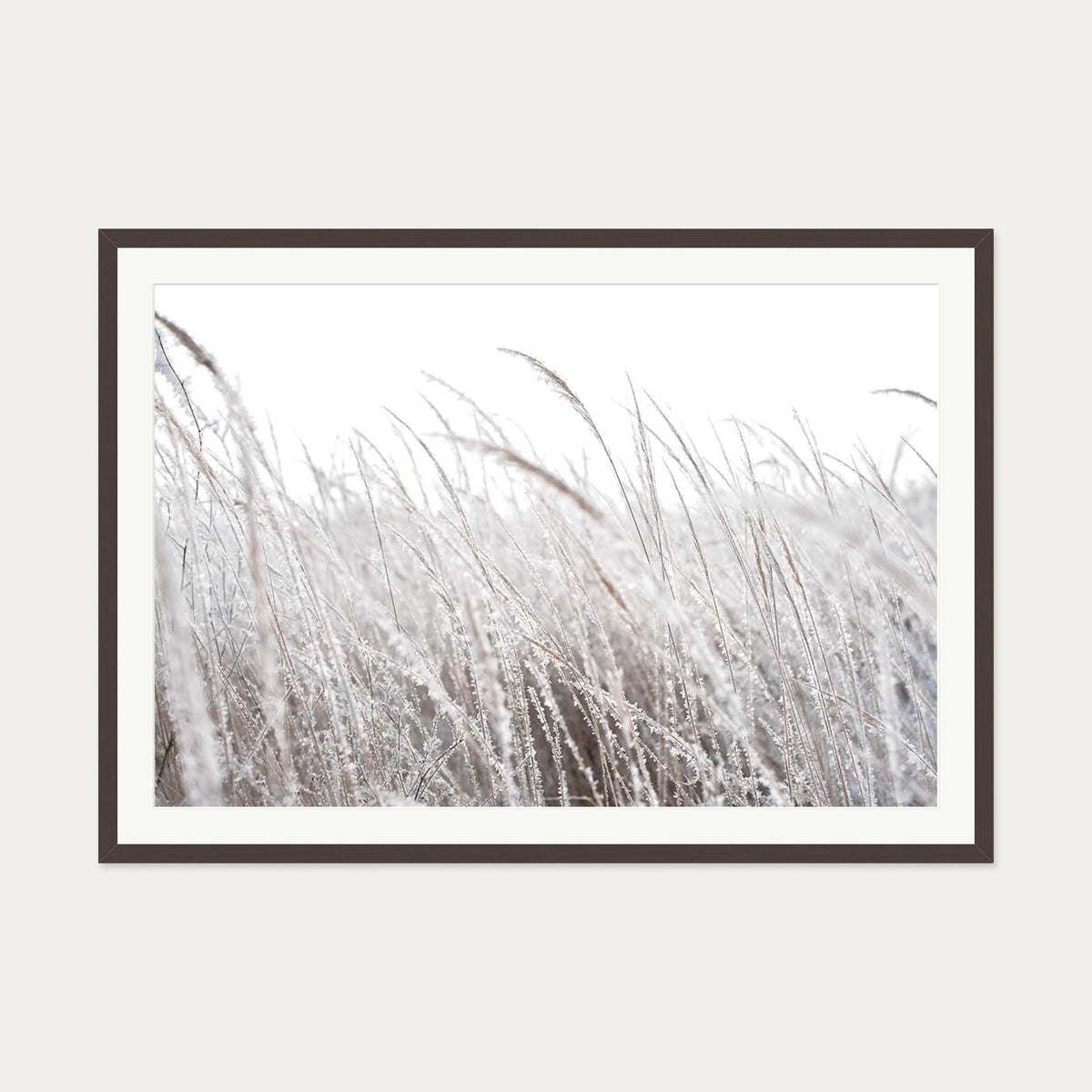 Frozen Grass Wall Art Print — 70 x 100 cm — Brown Frame