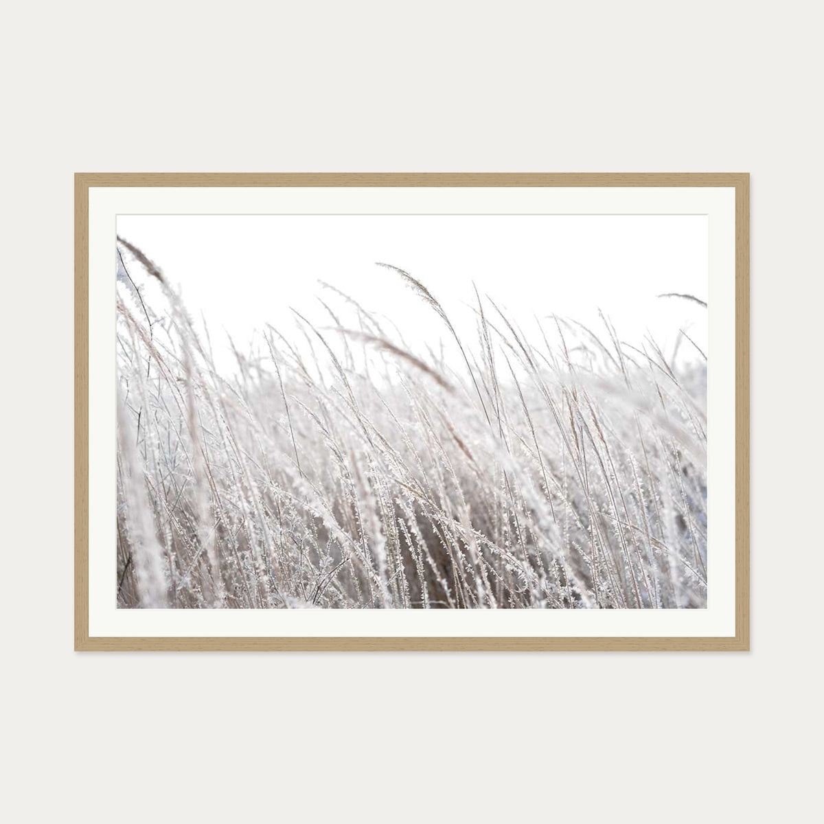 Frozen Grass Wall Art Print — 70 x 100 cm — Oak Frame