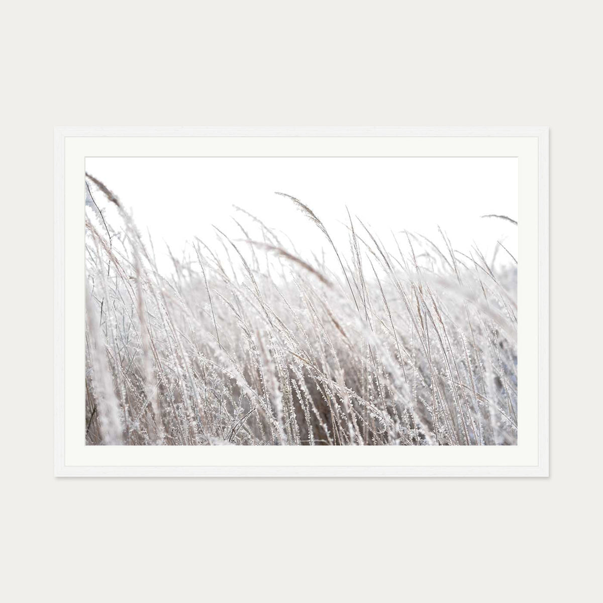 Frozen Grass Wall Art Print — 70 x 100 cm — White Frame