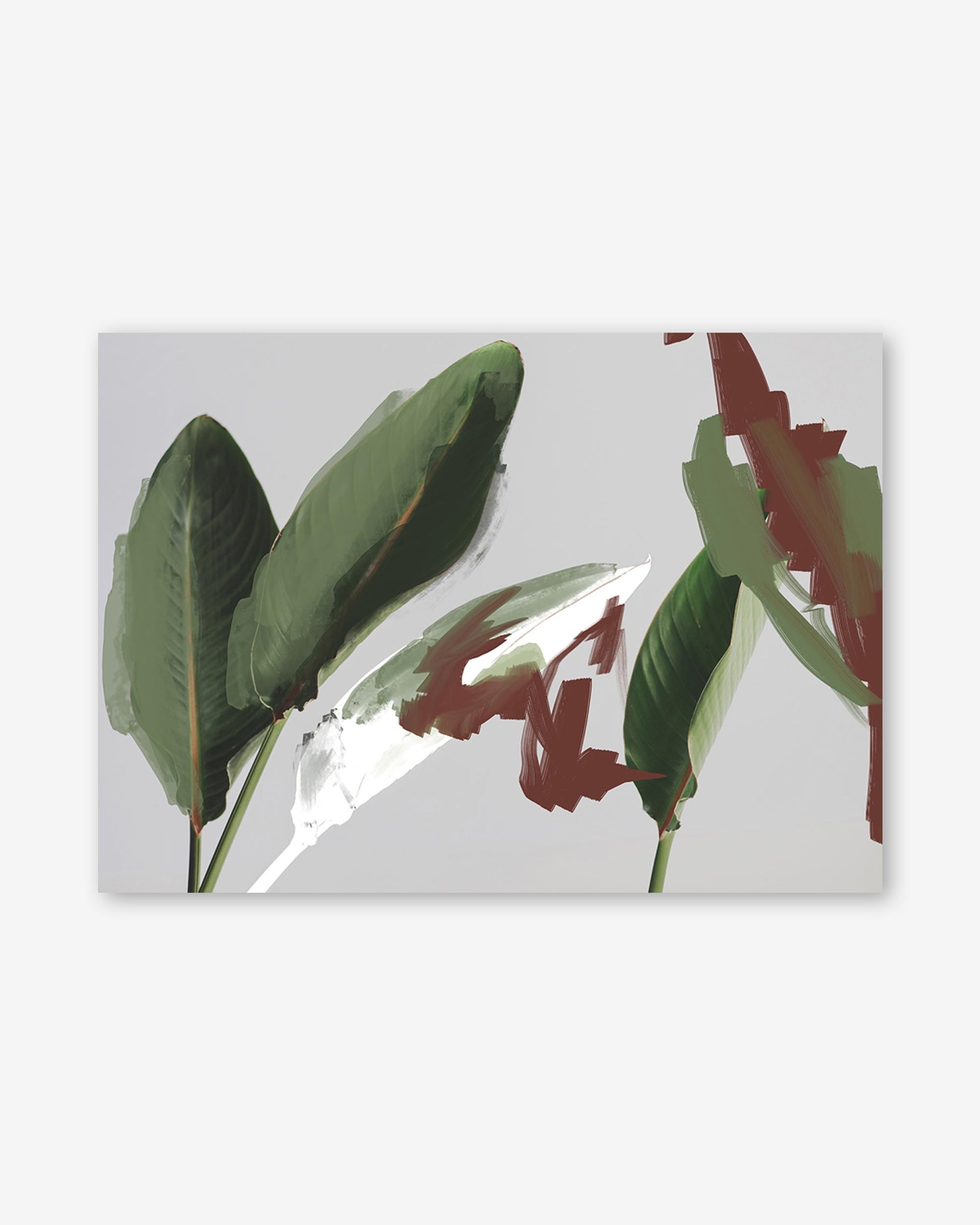 Art print of green and red leaves on a white background