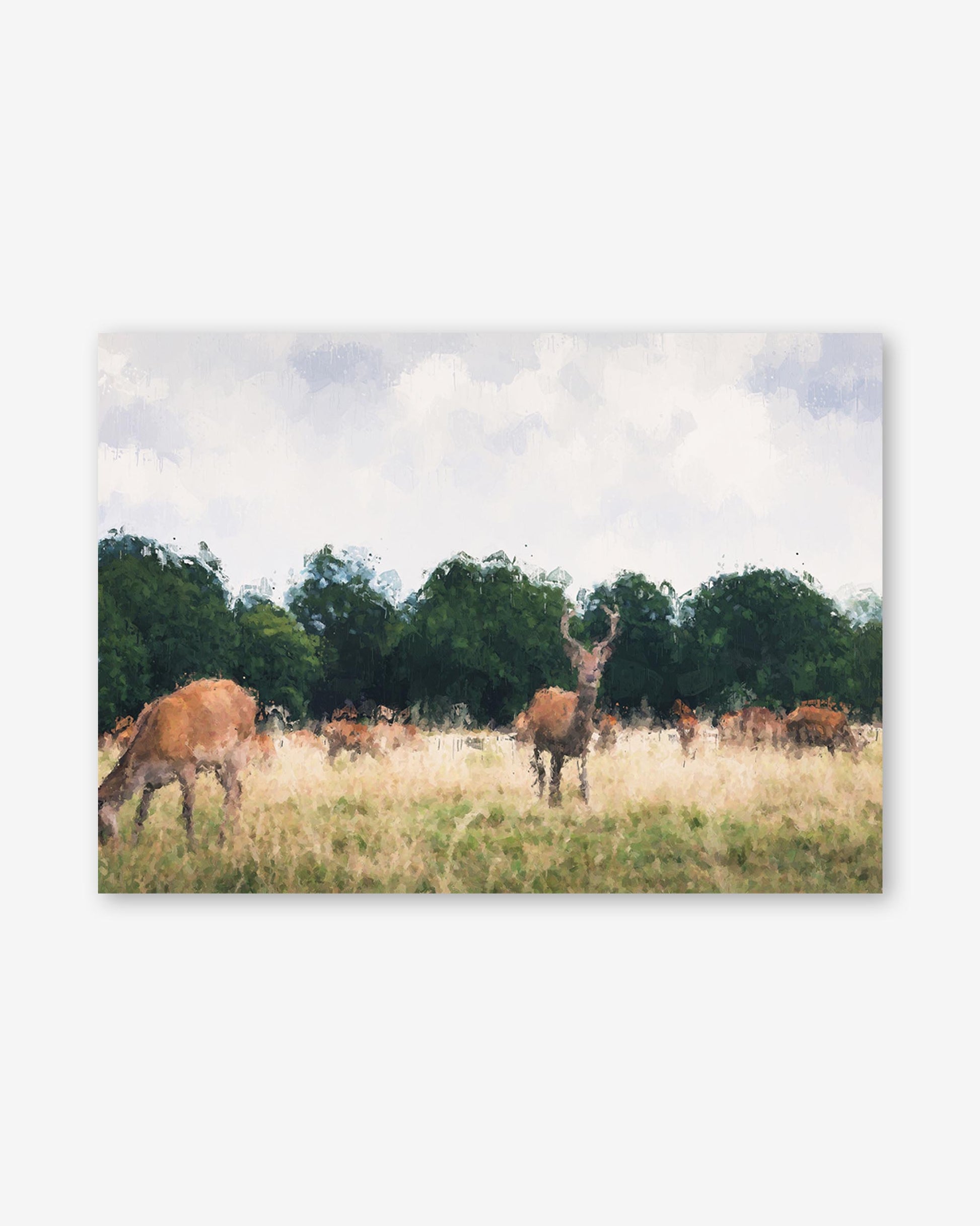 Deer in a field with trees and a blue sky