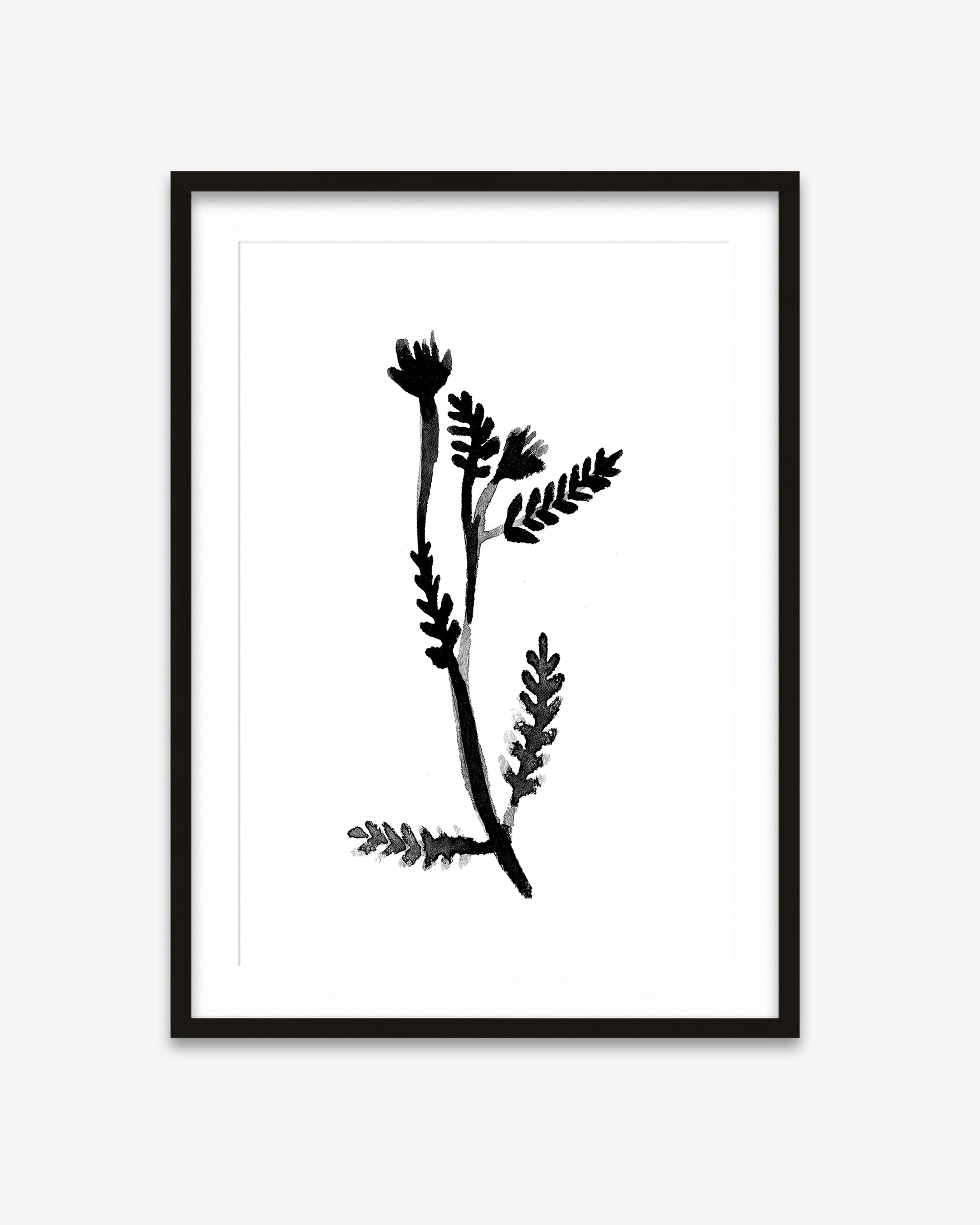 Black & White Botanical Watercolour Art Print
