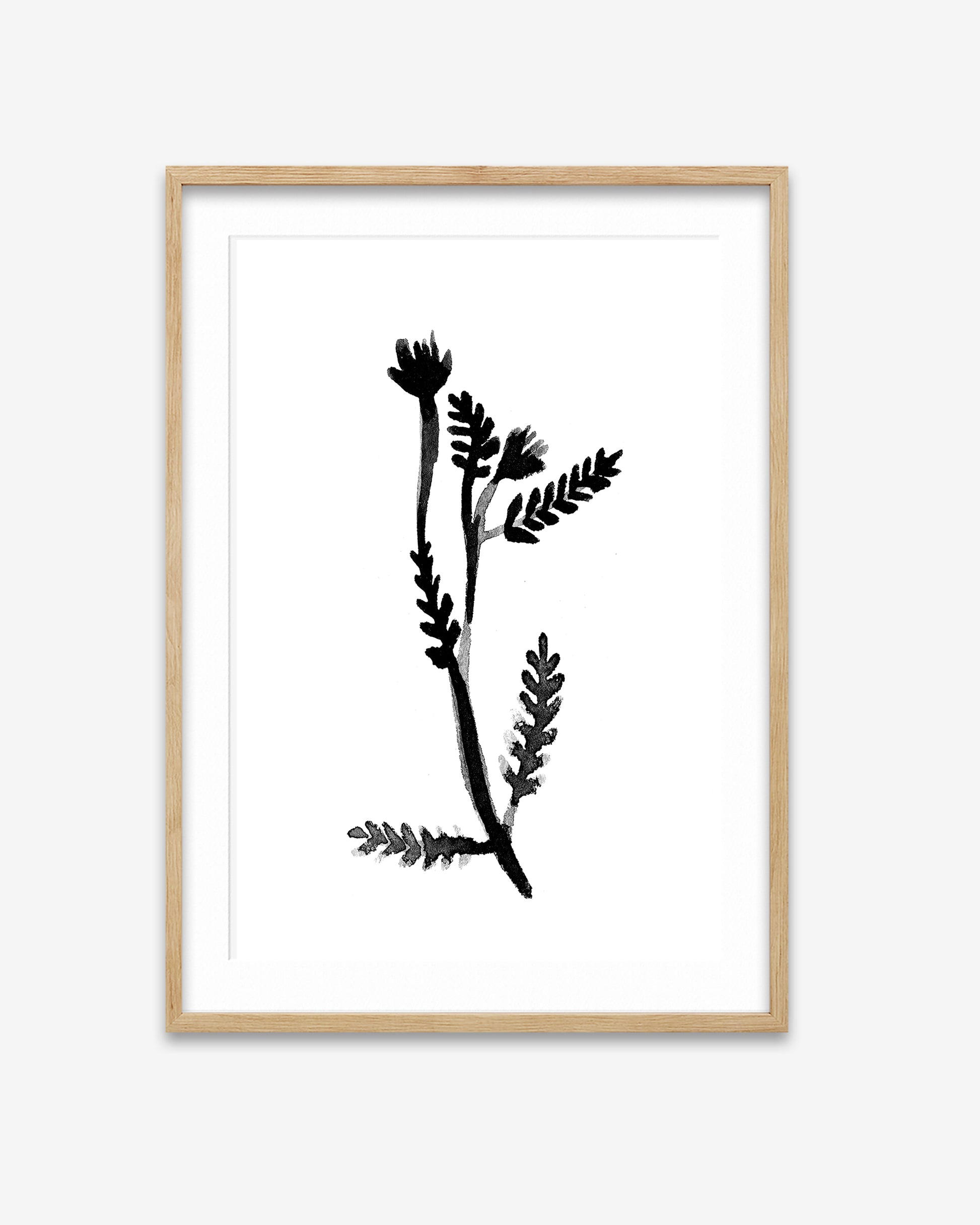 Framed artwork of a black botanical illustration on a white background