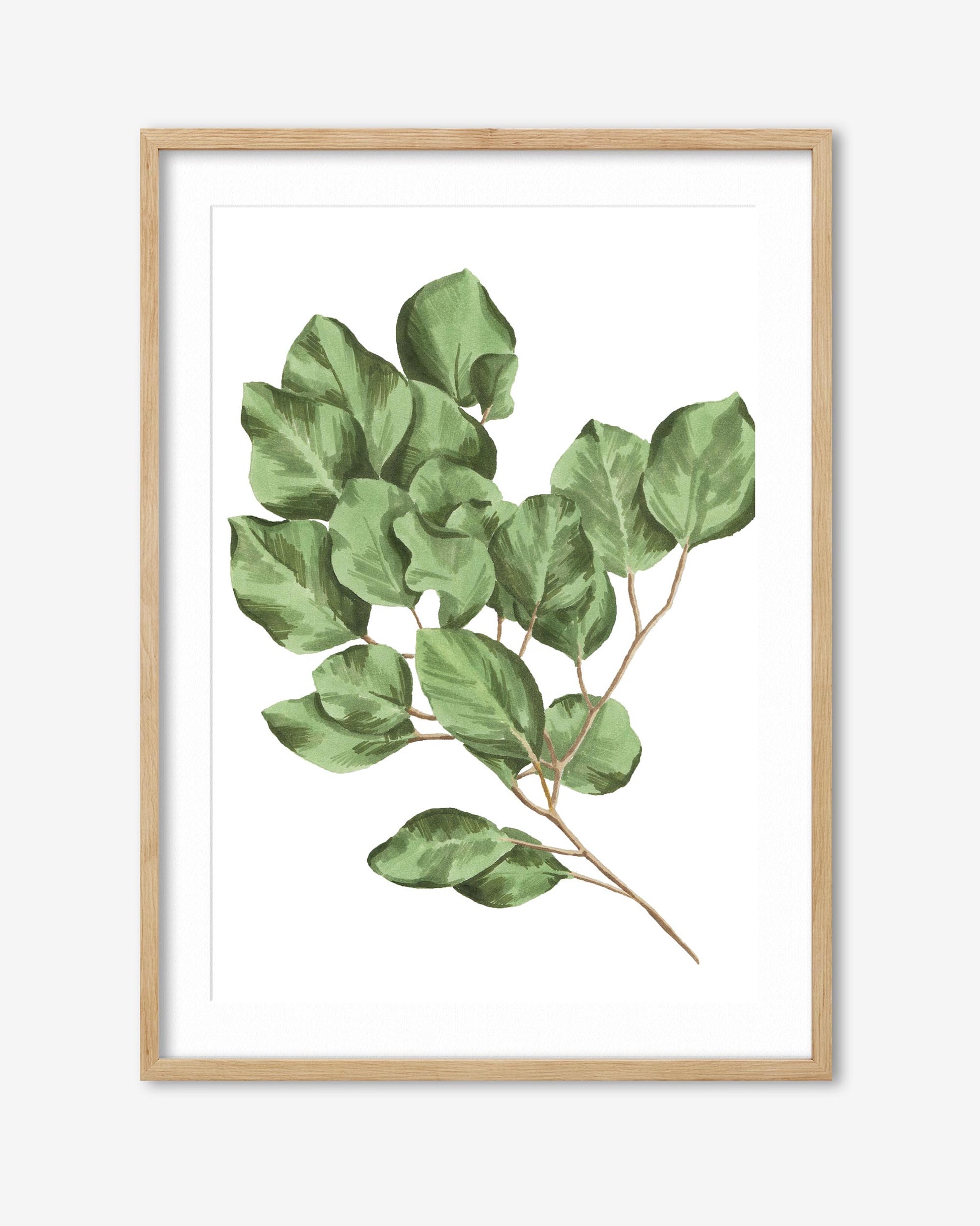 Framed artwork of green leaves on a white background