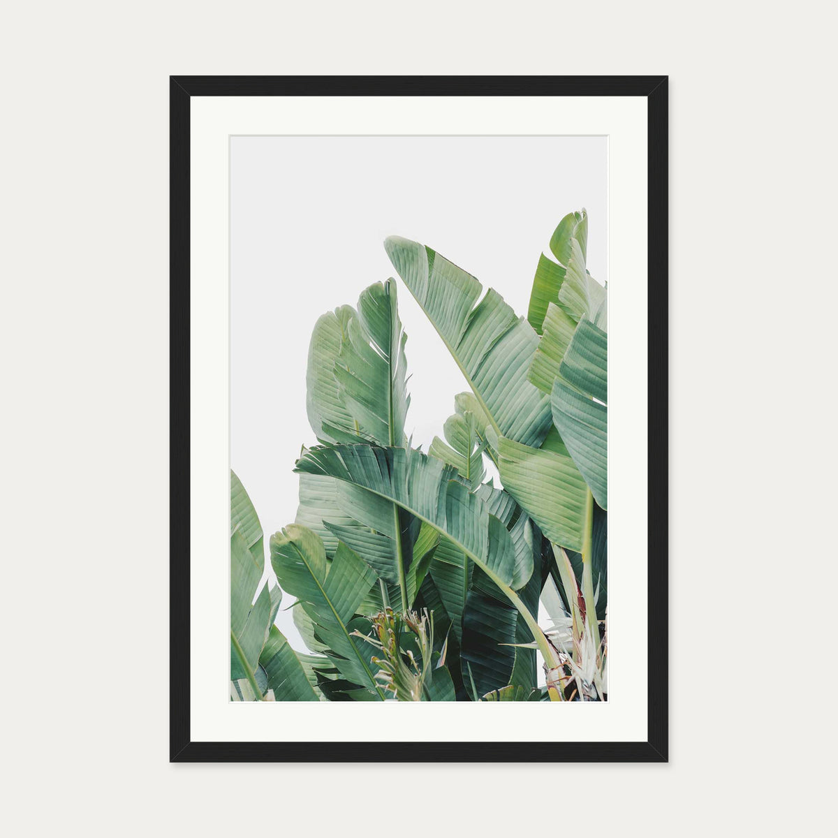 Green Botanical Leaves Wall Art Print — 50 x 70 cm — Black Frame